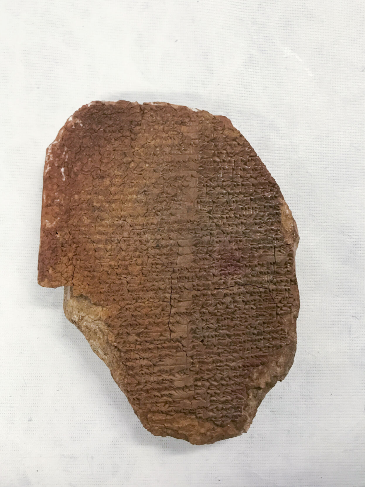 Repatriated Antiquities